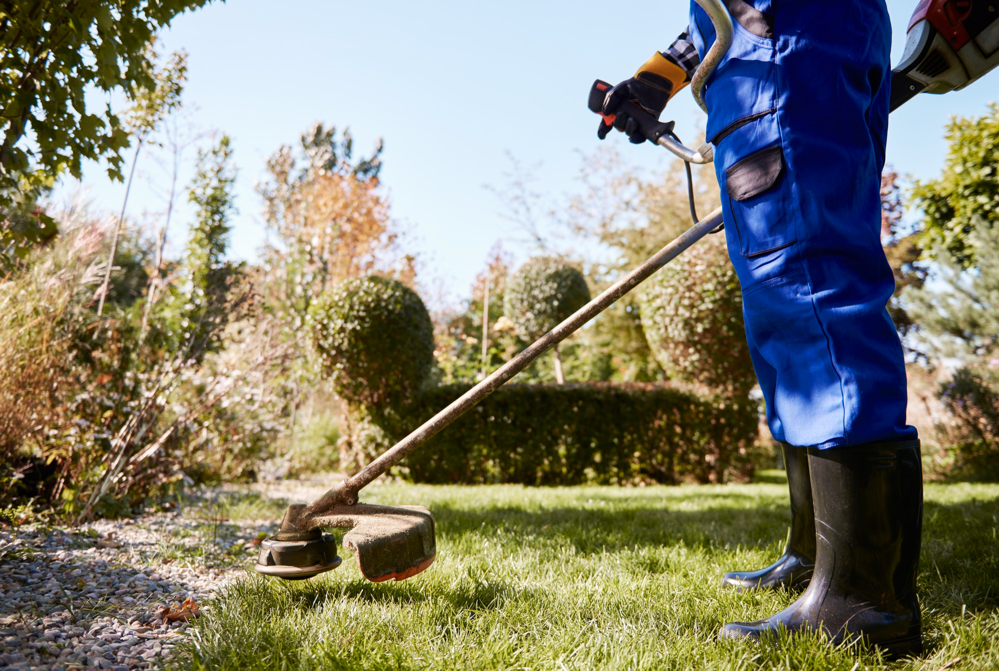 Garden maintenance service in West London