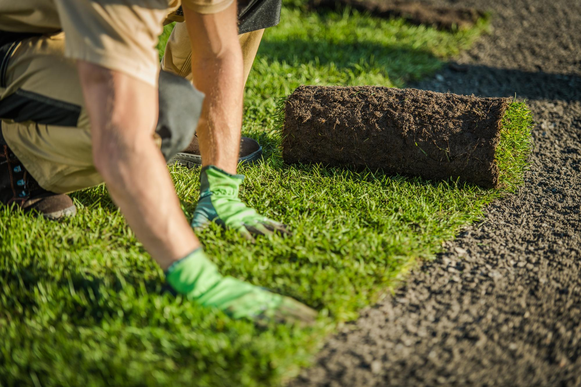 Turfing and lawn installation